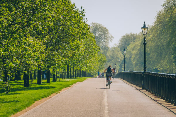 Unknown riders, shown from behind, biking on a path in the park on a beautiful spring morning. Row of trees and lamp posts create leading lines in the photo.